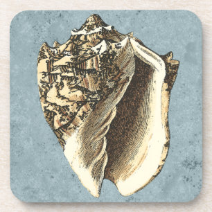 Stonewashed Conch Shell Beverage Coaster