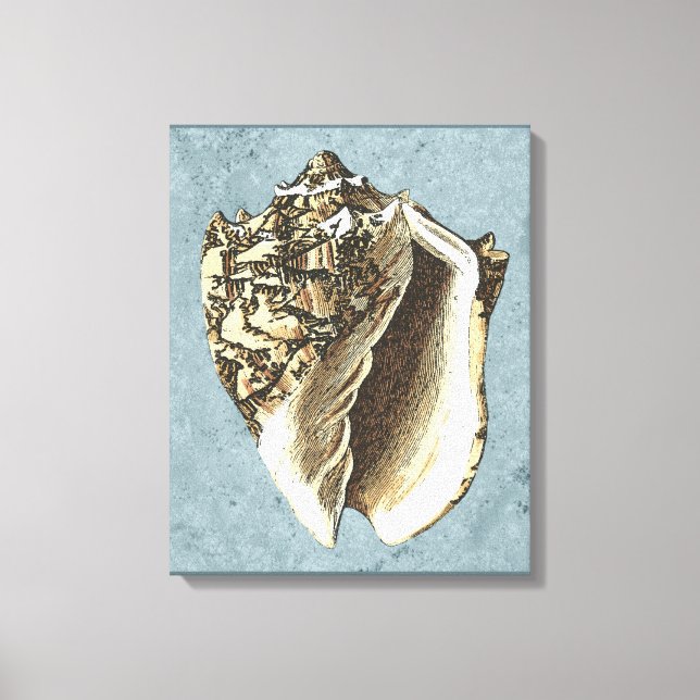 Stonewashed Conch Shell Canvas Print (Front)