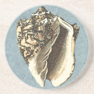 Stonewashed Conch Shell Drink Coaster