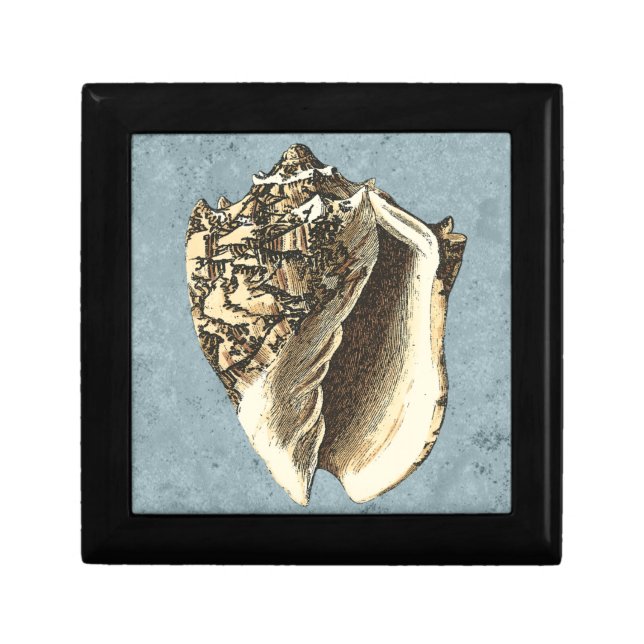 Stonewashed Conch Shell Gift Box (Front)