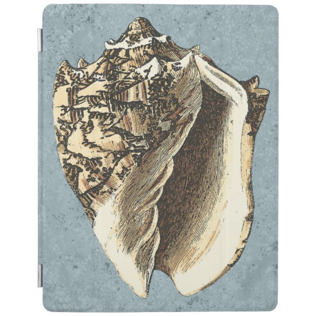 Stonewashed Conch Shell iPad Smart Cover (Front)