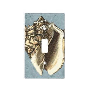 Stonewashed Conch Shell Light Switch Cover