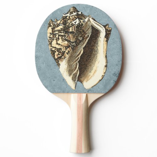 Stonewashed Conch Shell Ping-Pong Paddle