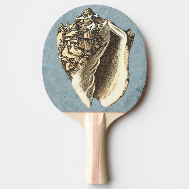 Stonewashed Conch Shell Ping-Pong Paddle (Front)