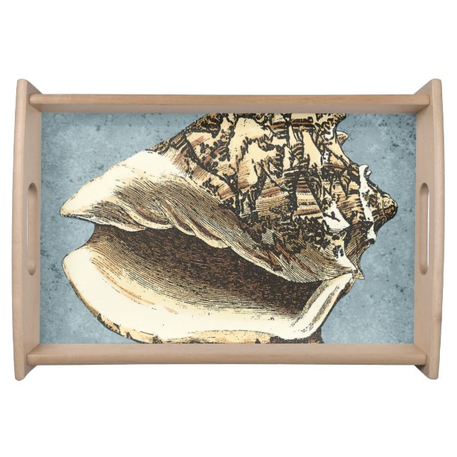 Stonewashed Conch Shell Serving Tray (Front)