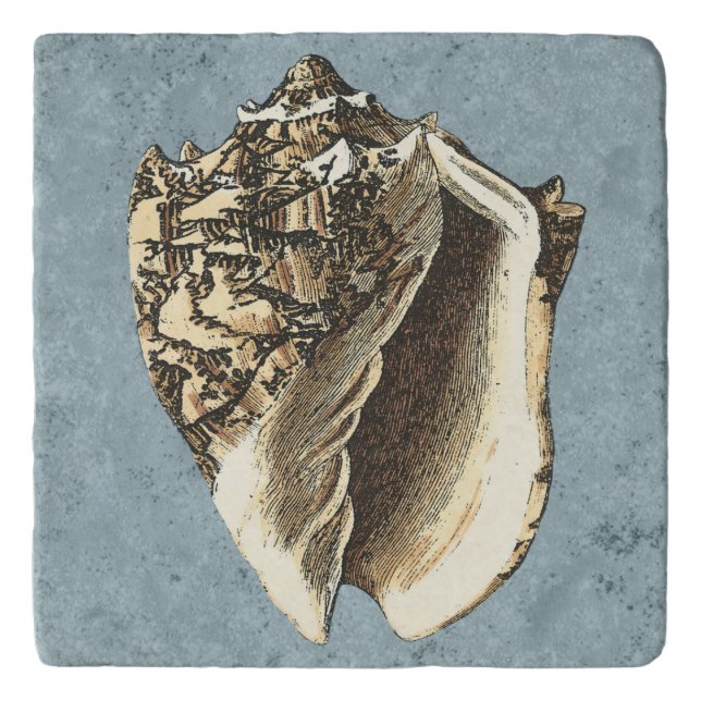 Stonewashed Conch Shell Trivet (Front)