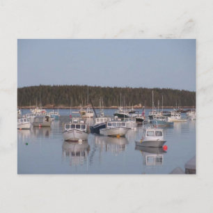"Stonington Harbor" Postcard