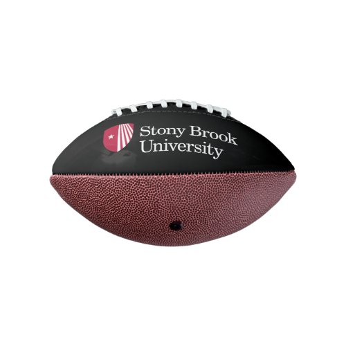 Stony Brook University  Wordmark Football