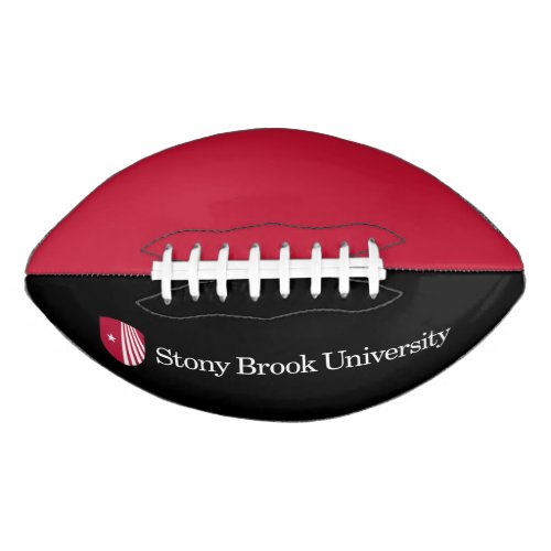 Stony Brook University  Wordmark Football