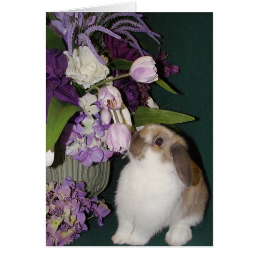 Stop and Smell the Flowers 4 (Front)