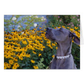 Stop and Smell the Flowers Card (Front Horizontal)