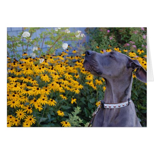 Stop and Smell the Flowers Card (Front Horizontal)