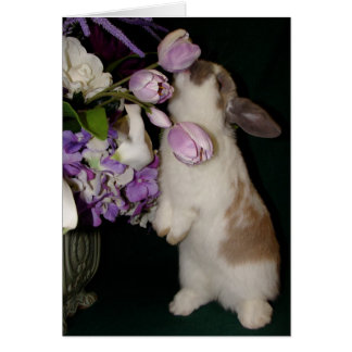 Stop and Smell the Flowers Cards