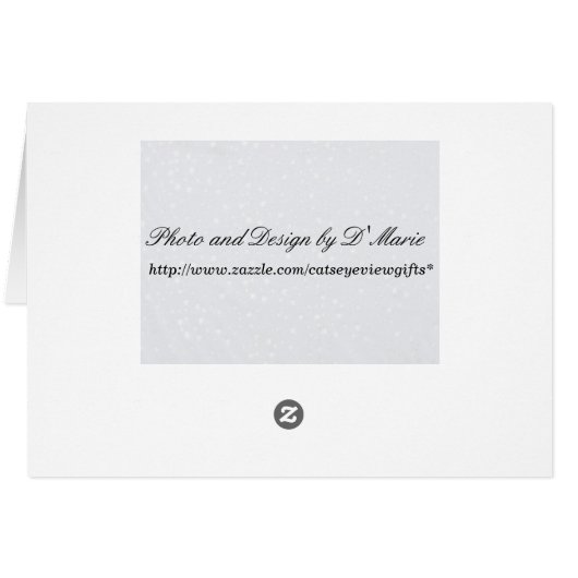 Stop and Smell the Flowers (Lilo) (Back Horizontal)