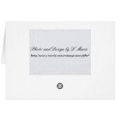 Stop and Smell the Flowers (Lilo) Cards (Back Horizontal)