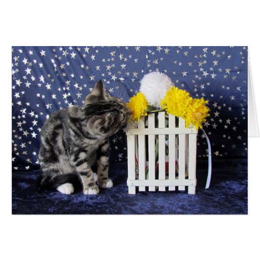 Stop and Smell the Flowers (Lilo) Cards (Front Horizontal)