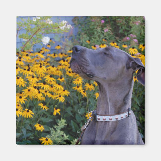 Stop and Smell the Flowers Magnet