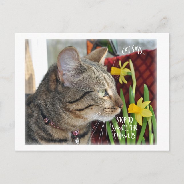 Stop and Smell the Flowers Postcard (Front)