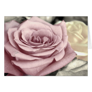 ~SToP aND SMeLL THe RoSeS~ Cards