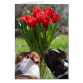 Stop and Smell the Tulips (Front)