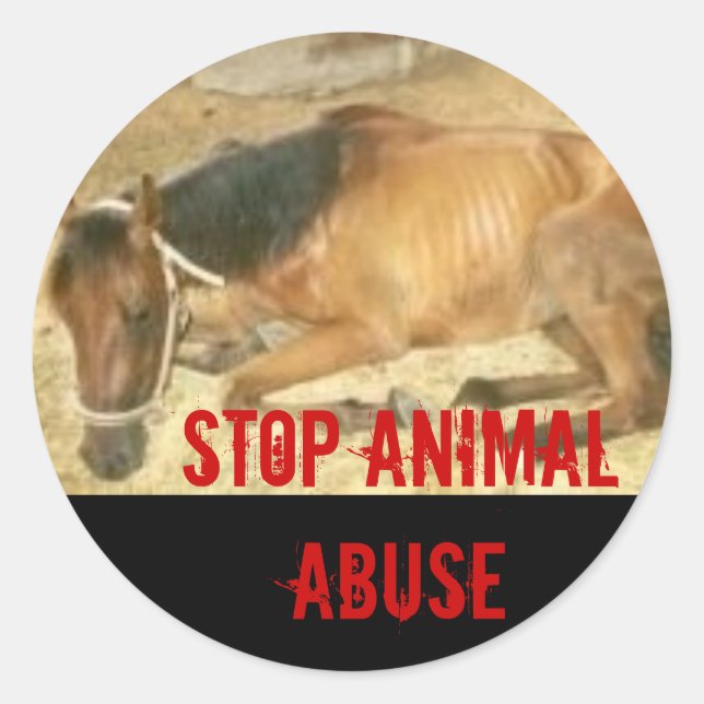 Stop Animal Abuse Classic Round Sticker (Front)