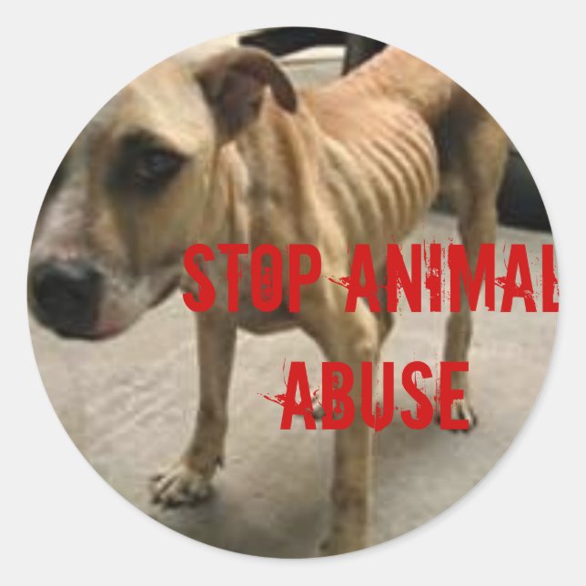 Stop Animal Abuse Classic Round Sticker (Front)