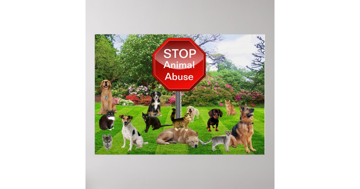 help stop animal abuse