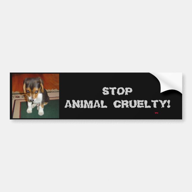 STOP ANIMAL CRUELTY! Bumper sticker (Front)