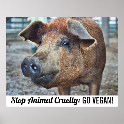 Stop Animal cruelty go vegan with brown pig Poster