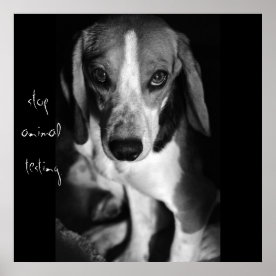 Stop Animal Testing Posters & Photo Prints | Zazzle