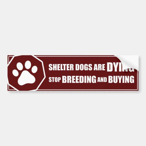 Stop Breeding and Buying Bumper Sticker