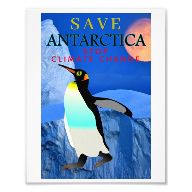 Stop Climate Change Global Warming Emperor Penguin Photo Print (Front)