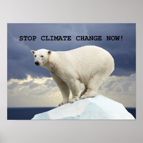 STOP CLIMATE CHANGE NOW Polar Bear Poster