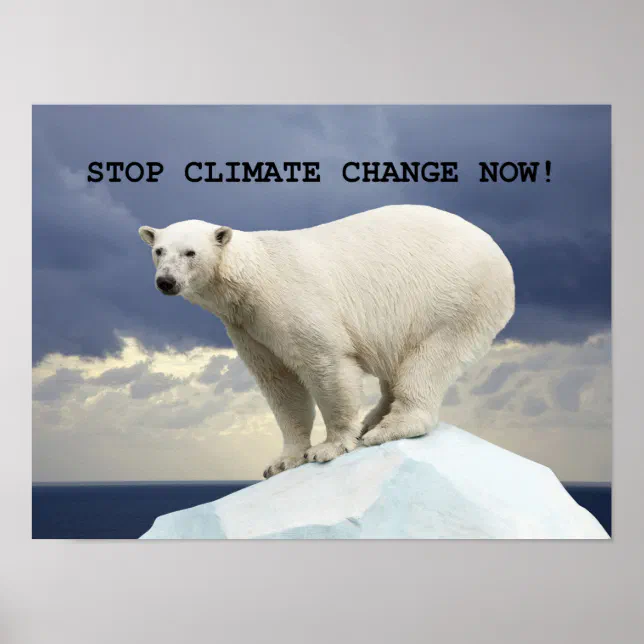 STOP CLIMATE CHANGE NOW! Polar Bear Poster | Zazzle