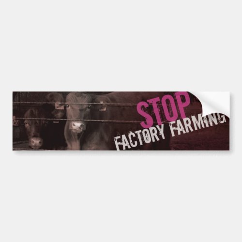 Stop Factory Farming _ Pink Bumper Sticker