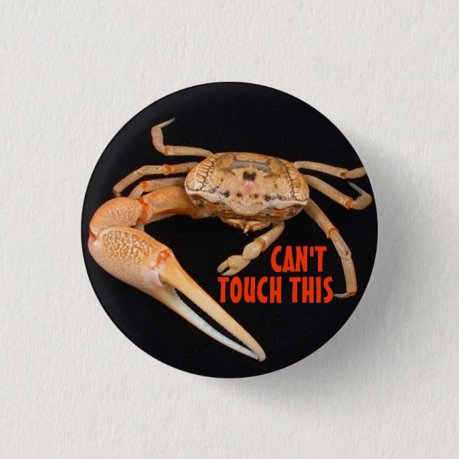 Stop- Fiddler Time Button (Front)