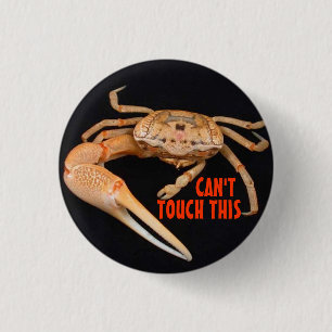 Stop- Fiddler Time Button