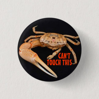 Stop- Fiddler Time Button