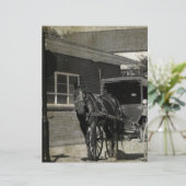 Stop for A Spell, Amish Horse at Stop Sign (Standing Front)