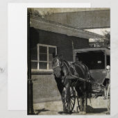 Stop for A Spell, Amish Horse at Stop Sign (Front/Back)
