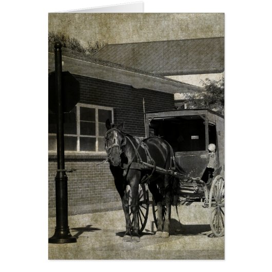 Stop for A Spell, Amish Horse at Stop Sign Cards (Front)