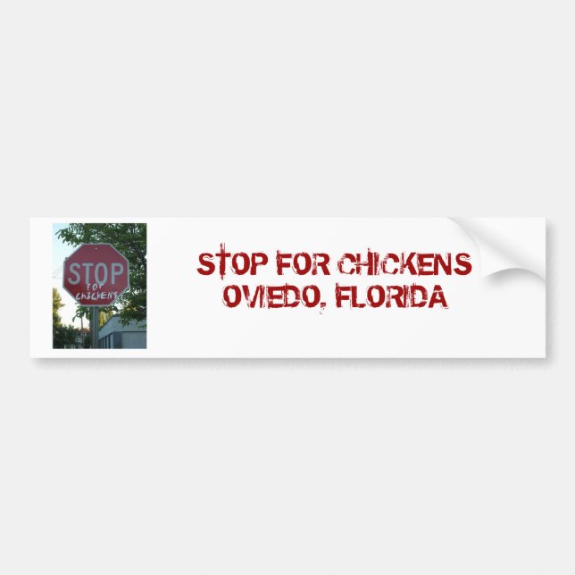 Stop for Chickens Bumper Sticker (Front)