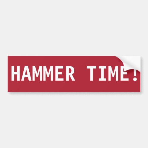 STOP HAMMER TIME BUMPER STICKER