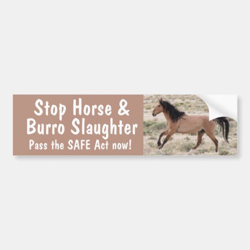 Stop Horse Slaughter Bumper Sticker