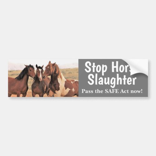 Stop Horse Slaughter Bumper Sticker