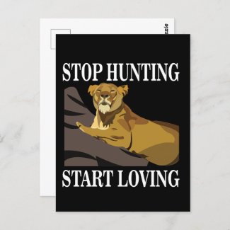 Stop Hunting Start Loving Lioness