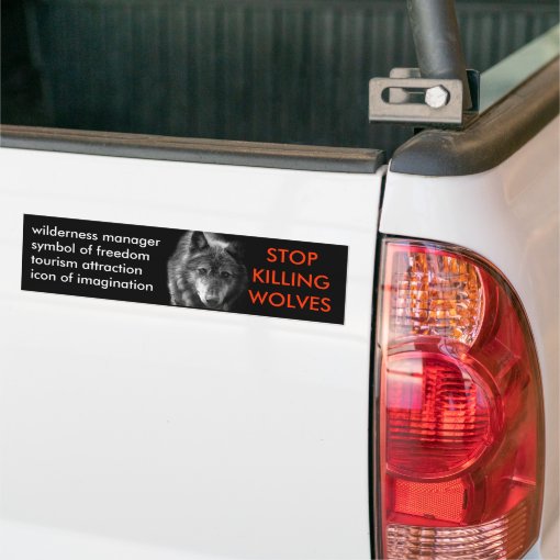 Stop Killing Wolves Bumper Sticker Zazzle