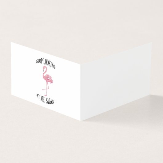 Stop Looking at me Swan (Outside)