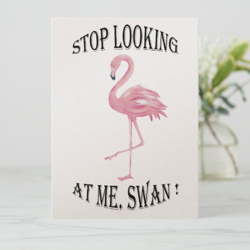 Stop Looking at me Swan