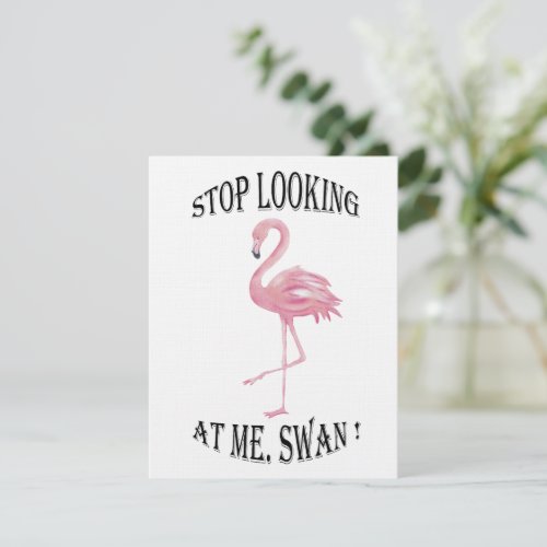 Stop Looking at me Swan